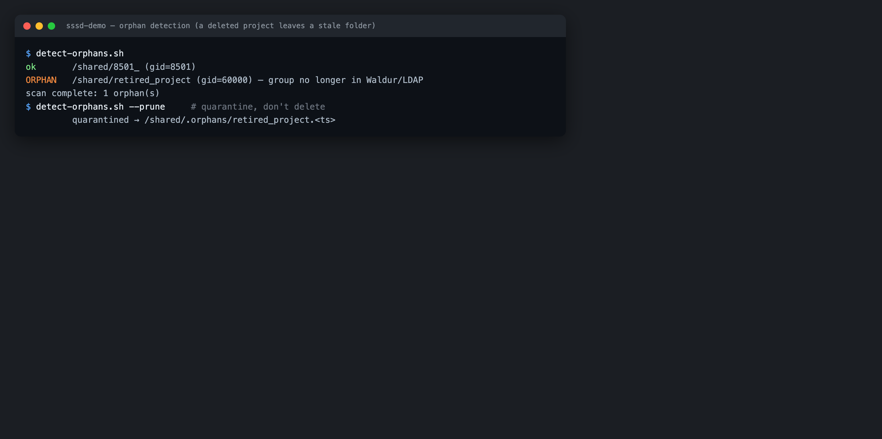 Detecting orphaned shared folders